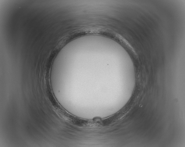 X0000082200209200702170027