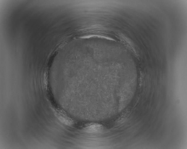 X0000082200210200702170027