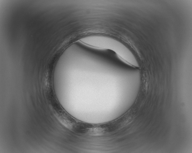 X0000082200212200702170027