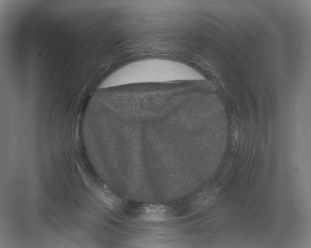 X0000082200214200702170027