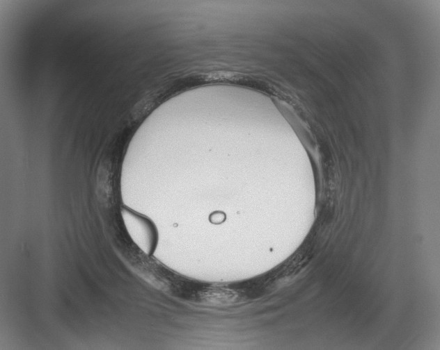 X0000082200215200702170027