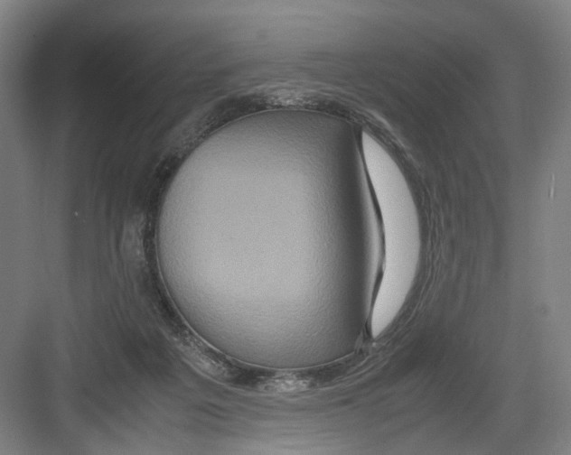 X0000082200217200702170026