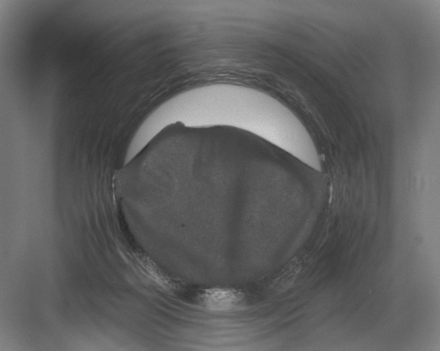 X0000082200218200702170026