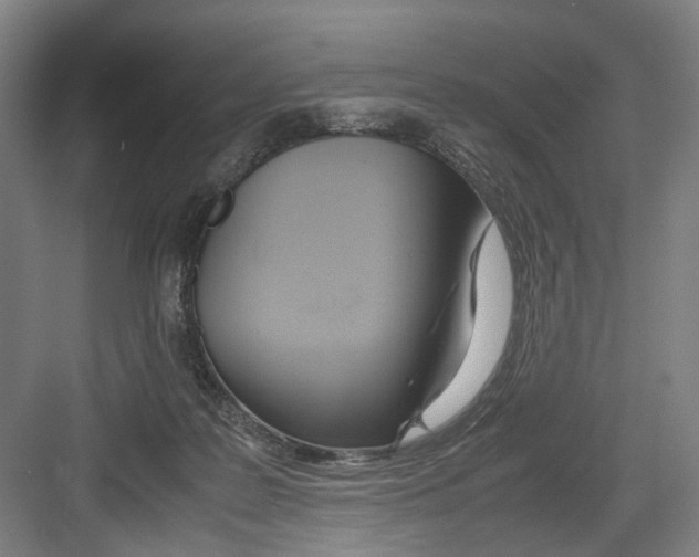 X0000082200219200702170026