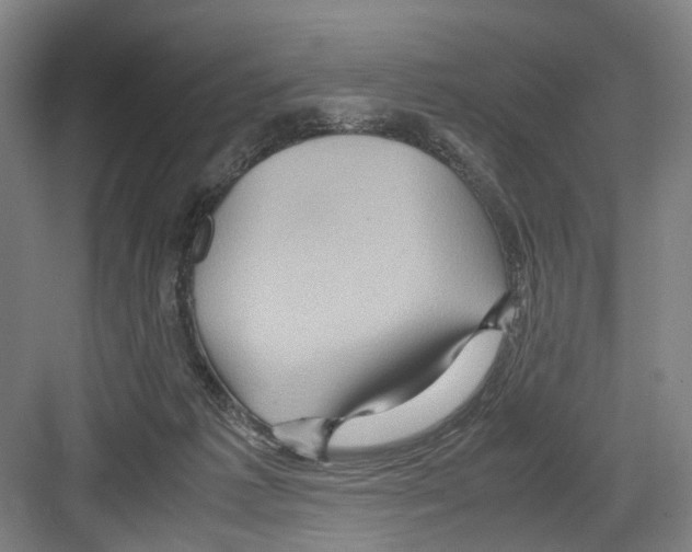 X0000082200221200702170026