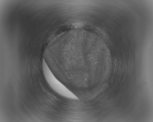 X0000082200222200702170026