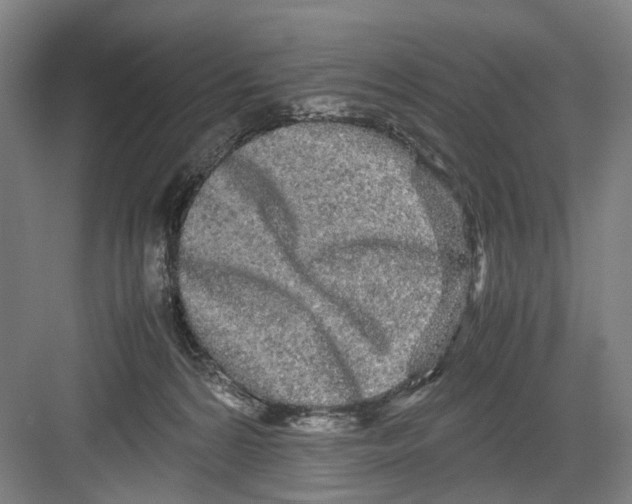 X0000082200224200702170026