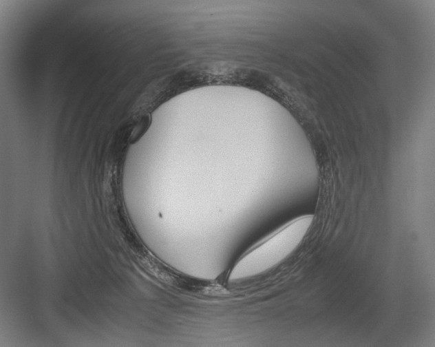 X0000082200225200702170026