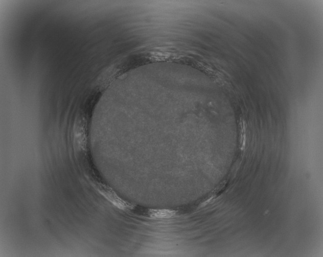 X0000082200226200702170026