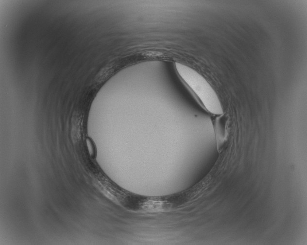 X0000082200227200702170026