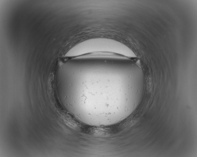 X0000082200229200702170026