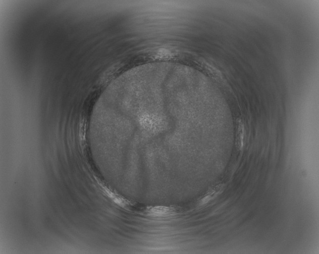 X0000082200230200702170026