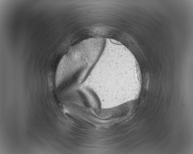 X0000082200232200702170026