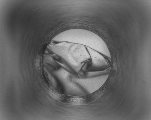 X0000082200233200702170026