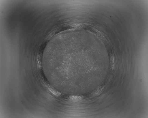 X0000082200234200702170026