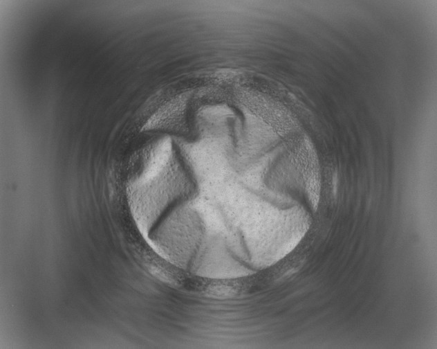 X0000082200236200702170026