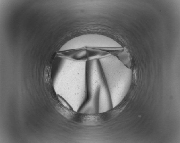 X0000082200237200702170026