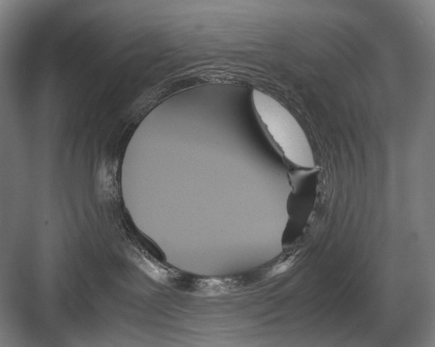 X0000082200239200702170026