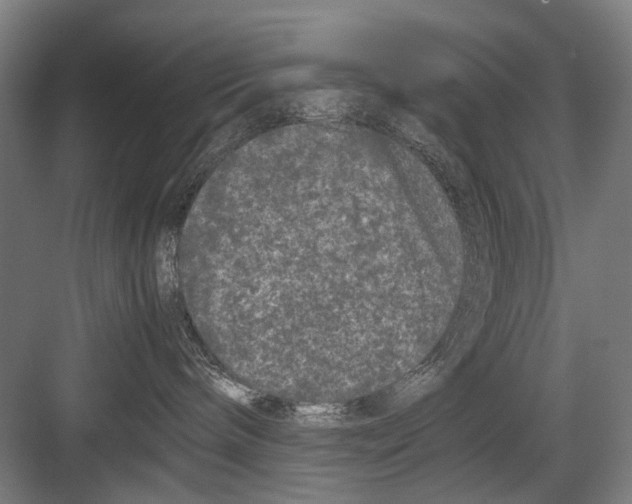 X0000082200240200702170026