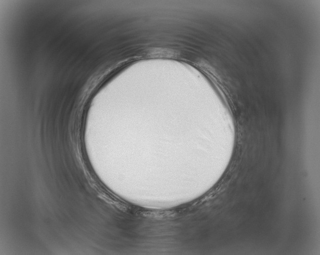 X0000082200241200702170025