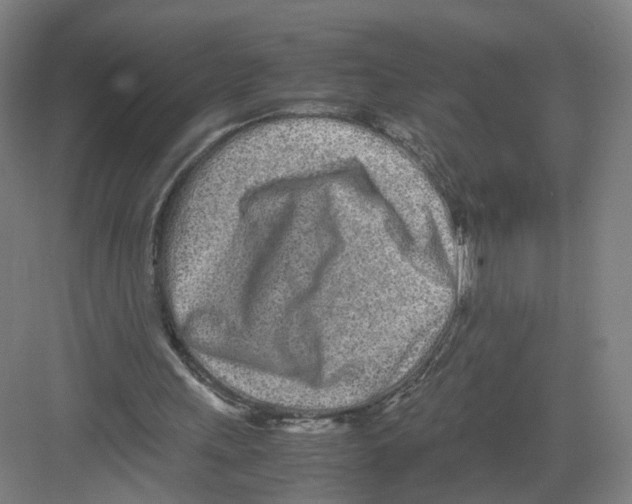 X0000082200243200702170025