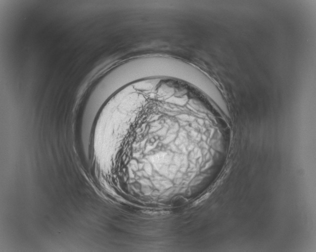 X0000082200245200702170025