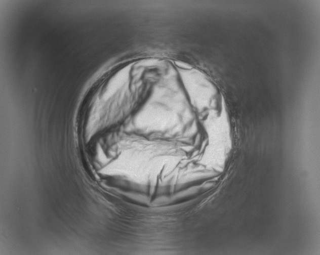 X0000082200246200702170025