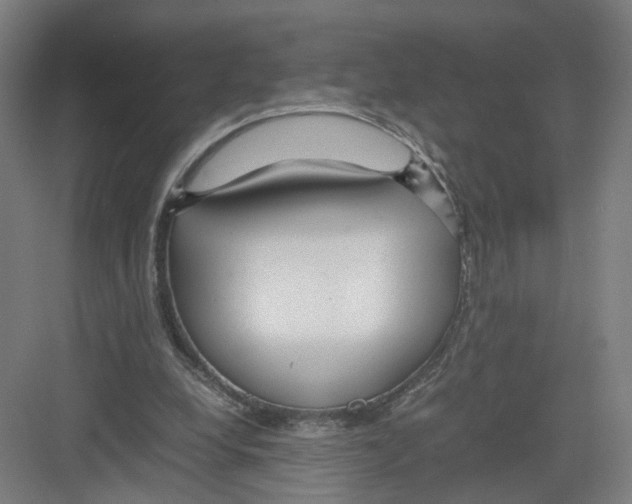 X0000082200248200702170025