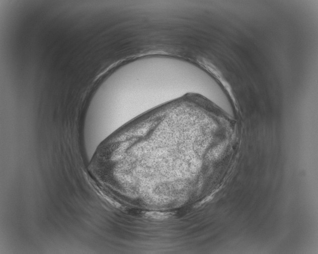 X0000082200249200702170025