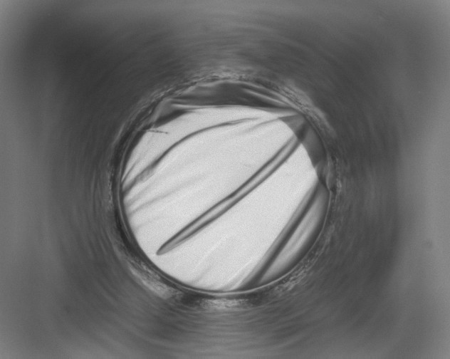 X0000082200250200702170025