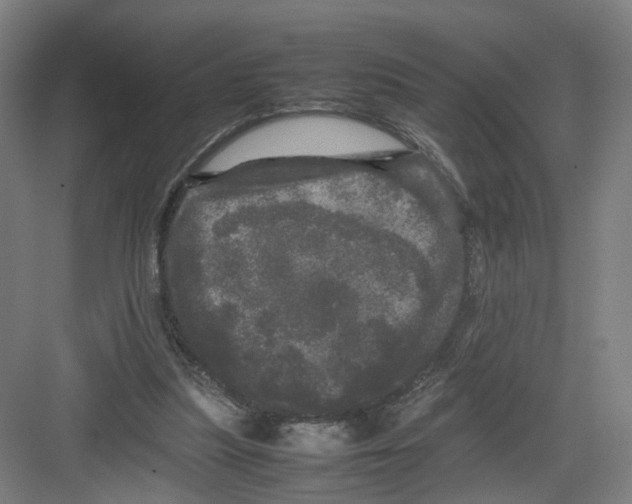 X0000082200251200702170025