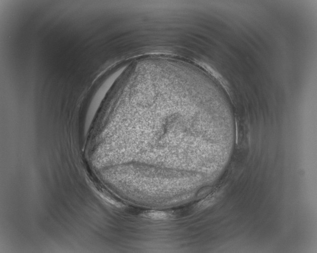 X0000082200253200702170026