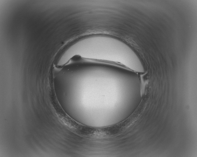 X0000082200256200702170026