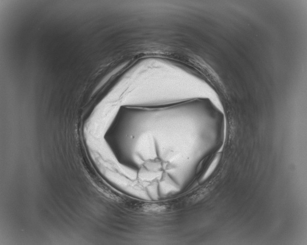 X0000082200257200702170026