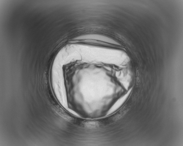 X0000082200258200702170026