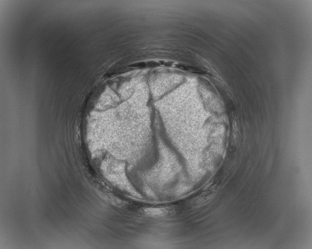 X0000082200259200702170026