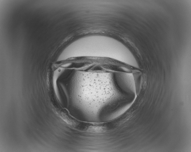 X0000082200260200702170026