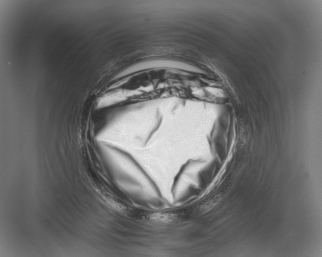 X0000082200261200702170026