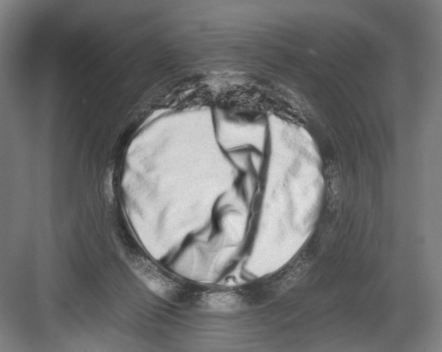 X0000082200262200702170026