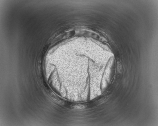 X0000082200263200702170026