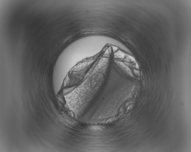 X0000082200264200702170026