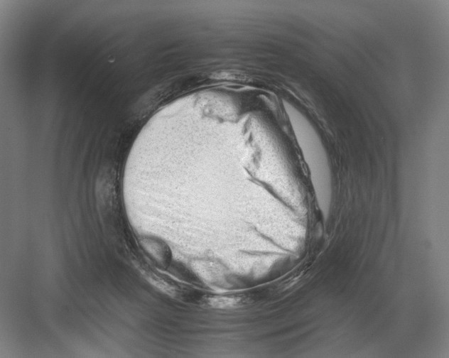 X0000082200265200702170026