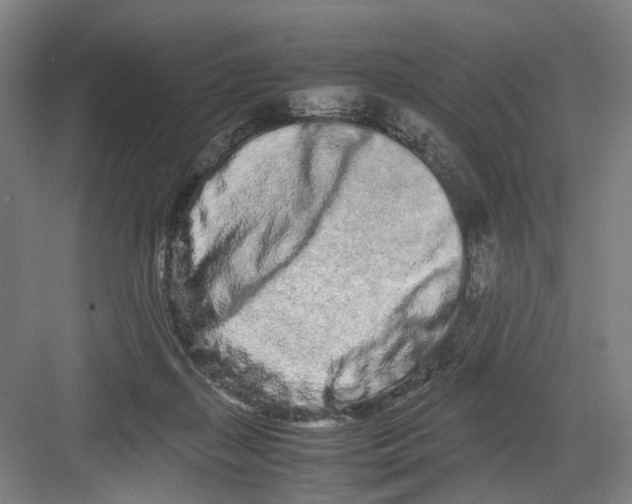 X0000082200267200702170026