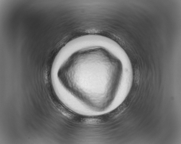 X0000082200268200702170026