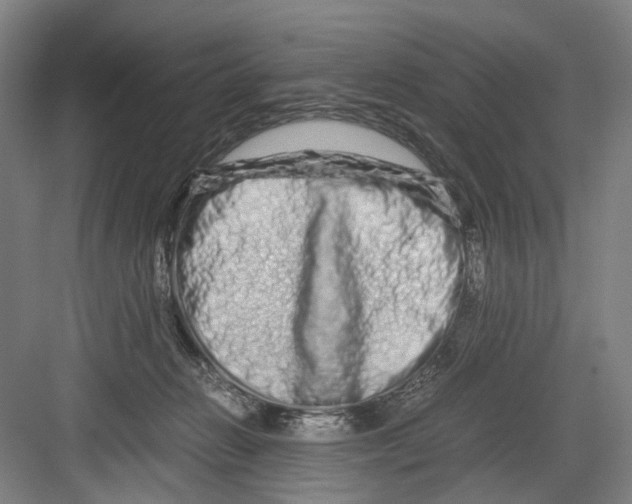 X0000082200270200702170026