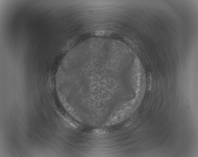 X0000082200272200702170026