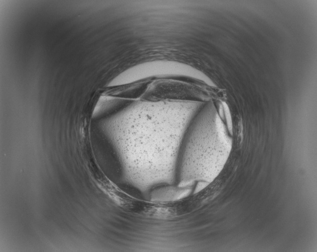 X0000082200276200702170026