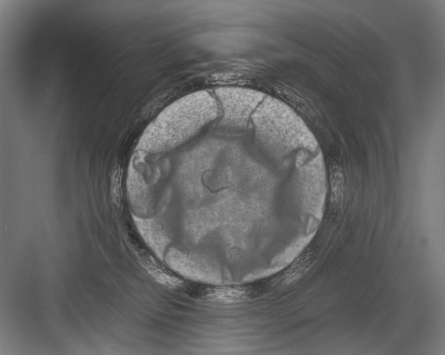 X0000082200278200702170026