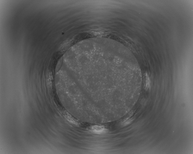 X0000082200279200702170026