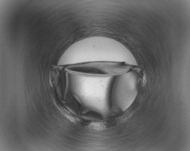 X0000082200280200702170026